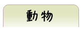 動物